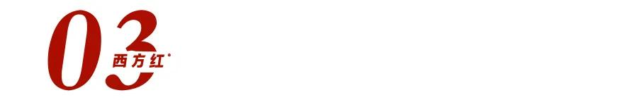 李显红怎么打造品牌,李显红名字怎么起