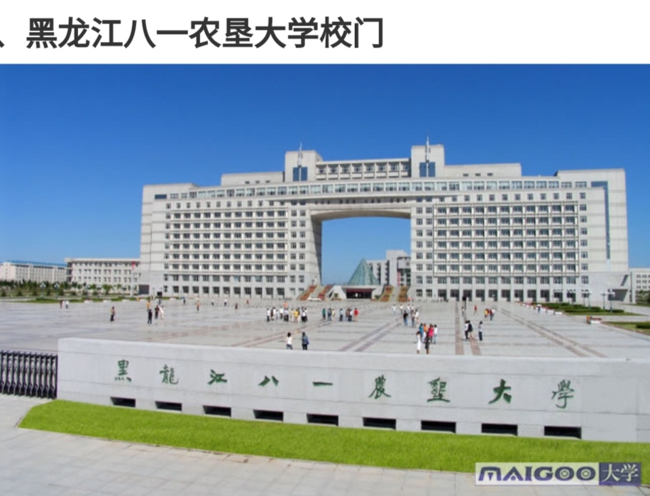 虎林市夜景照片,虎林印象