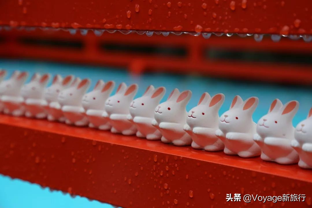 秋天来京都，体验「限定红」的“枫”情万种