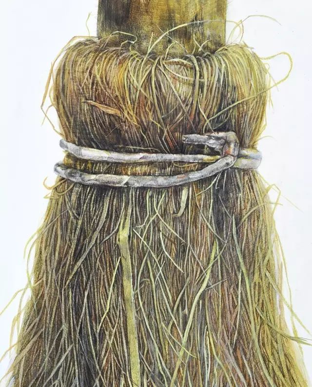 央美vs985,鲁美附中精微素描作品欣赏