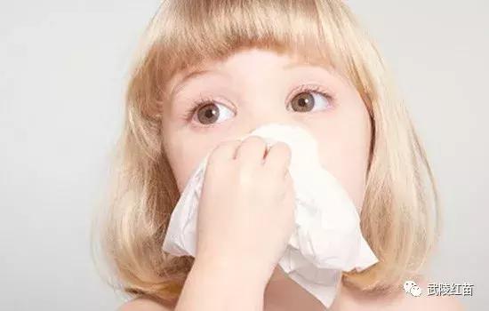 治疗风寒感冒食谱,可以治疗风寒感冒的食疗方子是