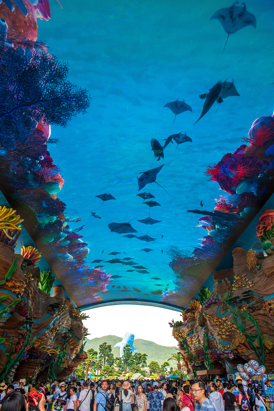 珠海长隆龙秀适合小朋友看吗,珠海长隆海洋王国值得打卡的地方