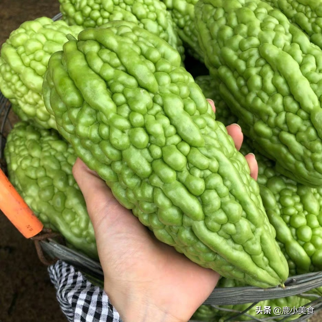 苦瓜怎么选嫩的,苦瓜怎么挑的