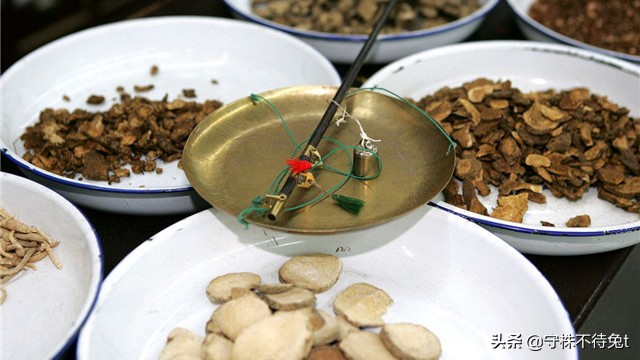 10个冷知识:用手触摸“癞蛤蟆”,手上不会起疙瘩