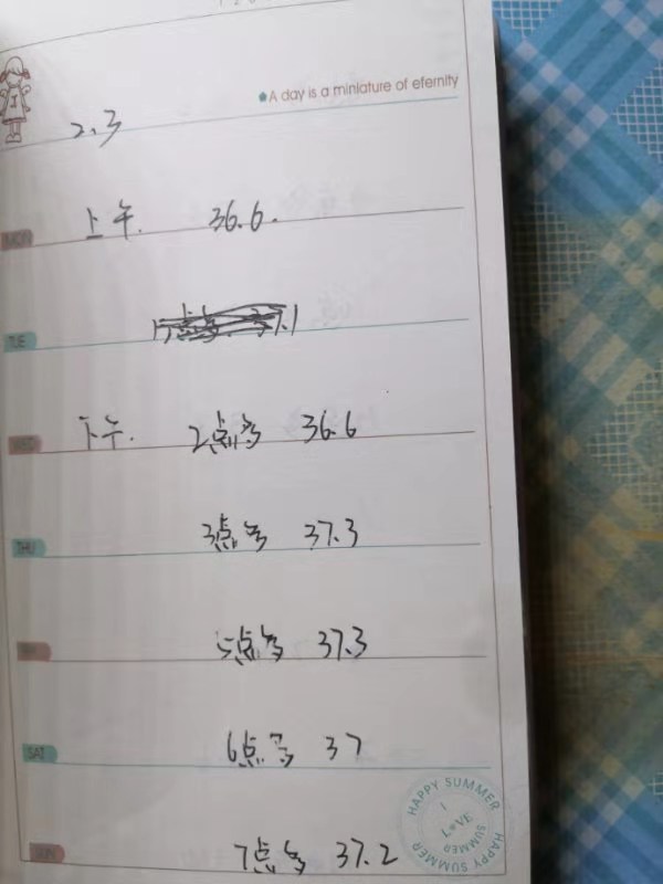 中药治疗腮腺炎、低热患者病案1例（1周）