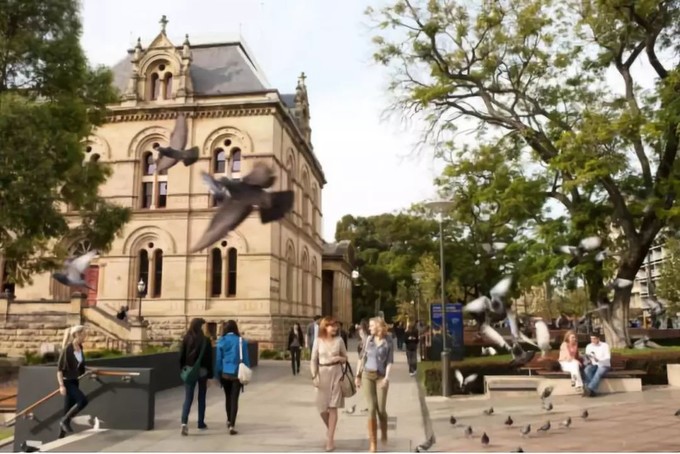 让黄晓明上瘾的南澳大利亚，到底有什么魔力？