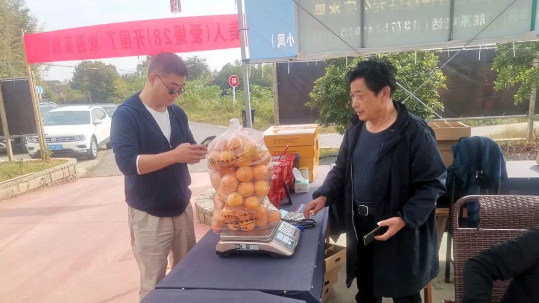 溧阳十万斤“红美人”上市，这仅是起点