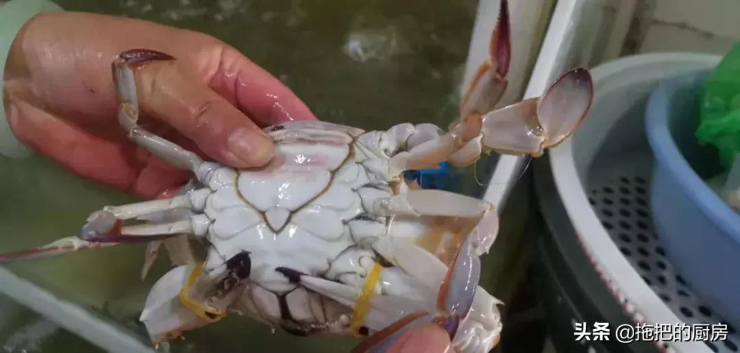 梭子蟹价格20元一斤购买,今年梭子蟹6-8两多少钱一斤