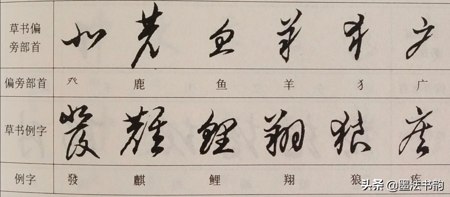 怎样写草书步骤,怎样写草书