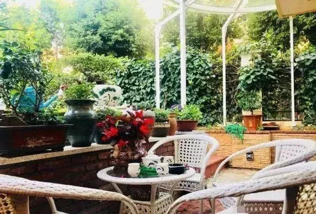 庭院锦鲤鱼池过滤改造,小院锦鲤鱼池建造过程