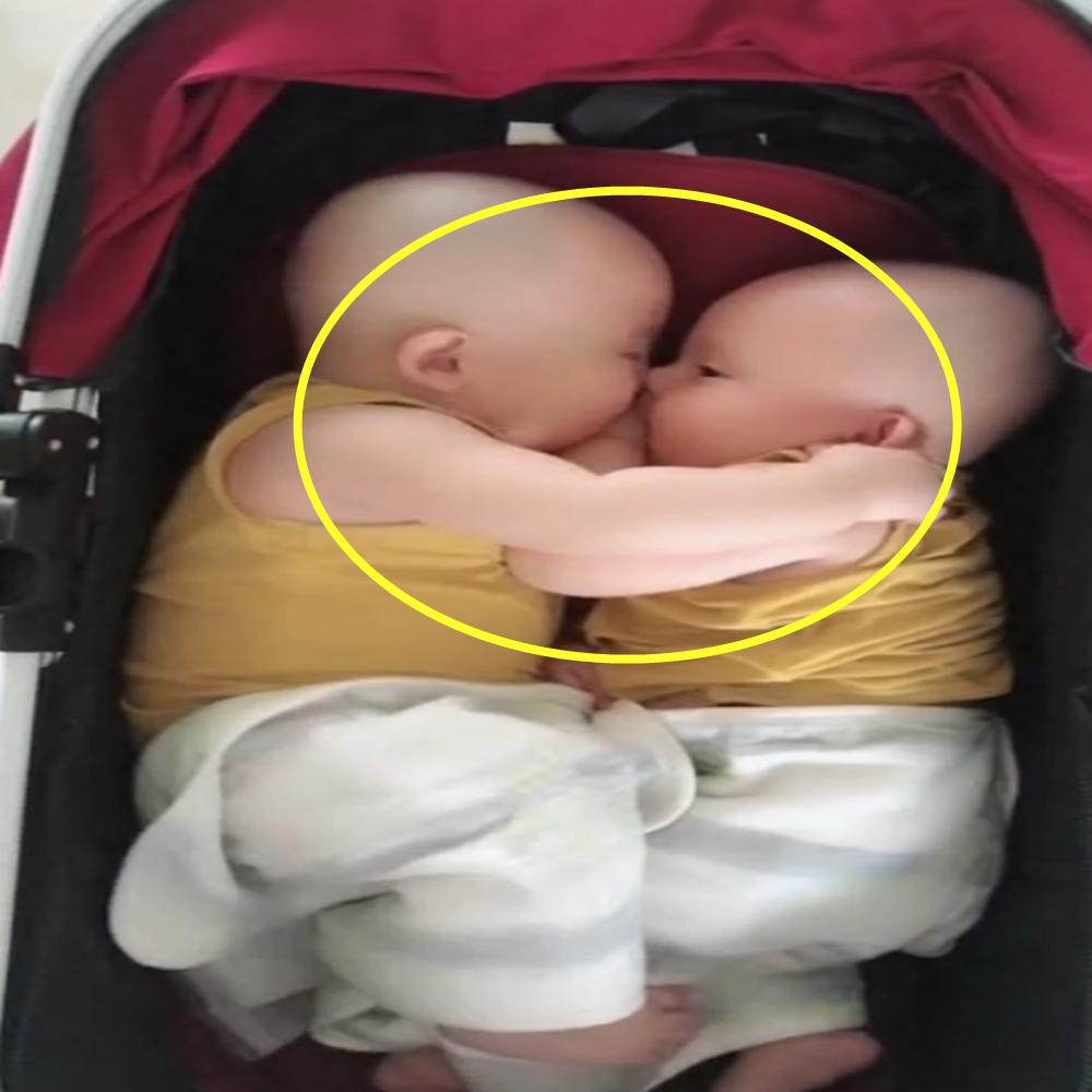 双胞胎宝宝一起坐的婴儿车,双胞胎宝宝在一起玩闹着都很有趣