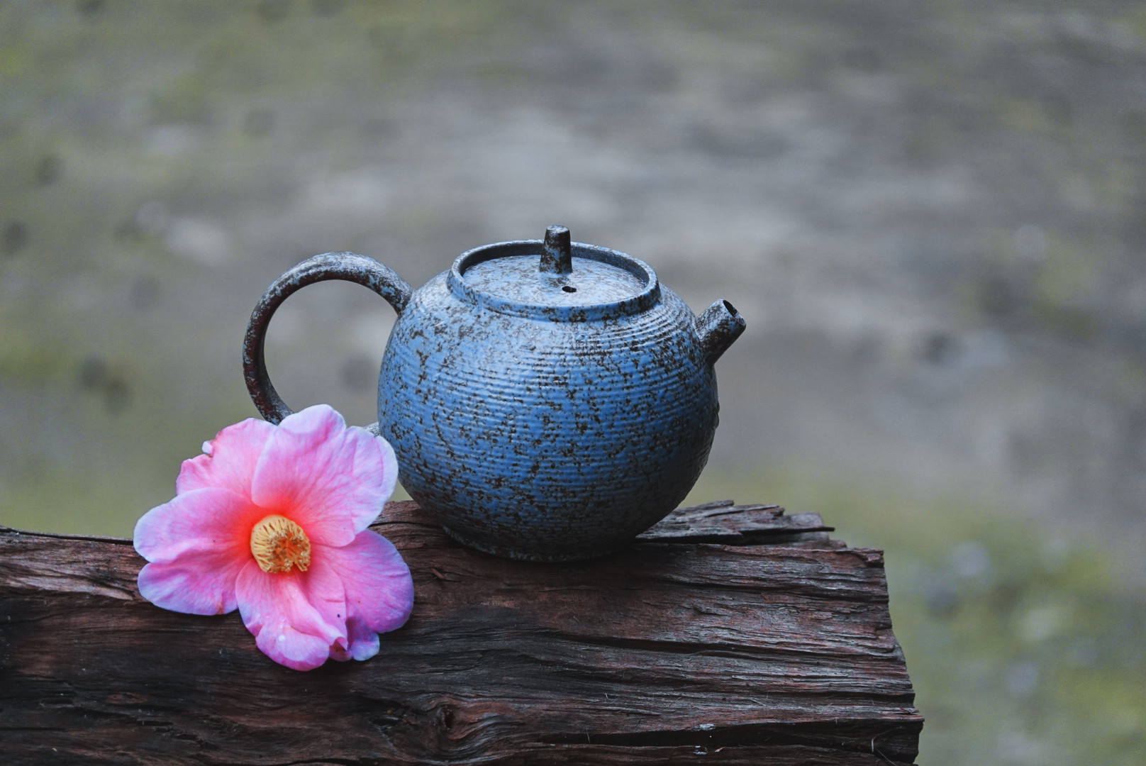 宅家美文100篇,宅家日记岁月静好