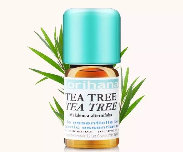 除螨大作战螨虫,除螨大作战让你告别螨虫