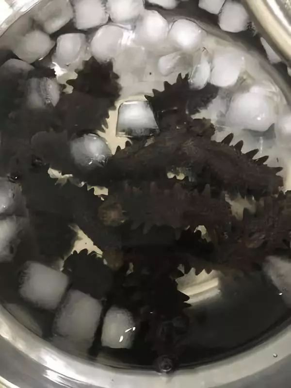 最新海参泡发教程,最有效的海参泡发方法视频教程