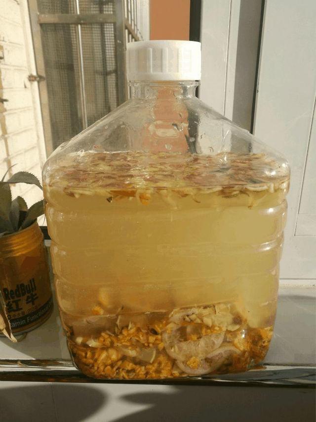 塑料养花小桶,塑料桶养花种菜