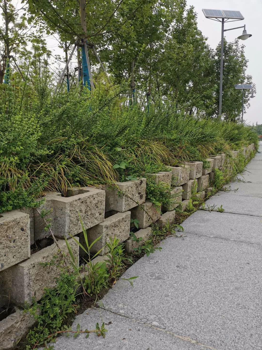 如何读书？读书一万不如一网