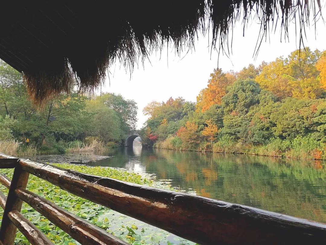 安缦法云民宿,法云安缦让心安静