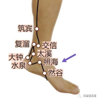 睡不着睡不醒睡不好中医来支招,白天困晚上睡不着中医辨证