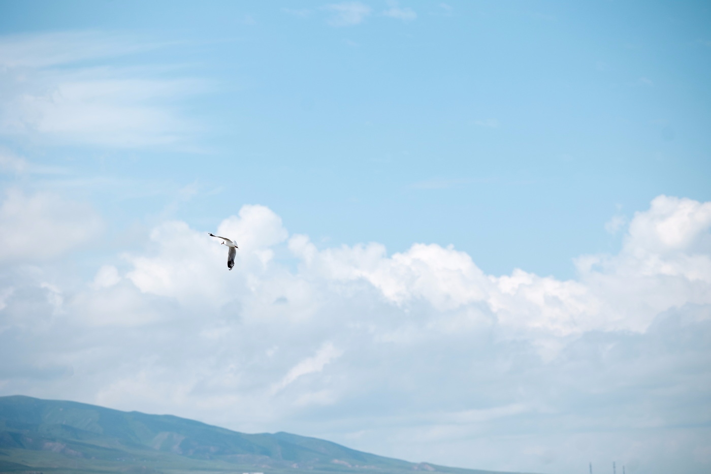 eosr6拍照技巧,eosr6视频拍摄评测