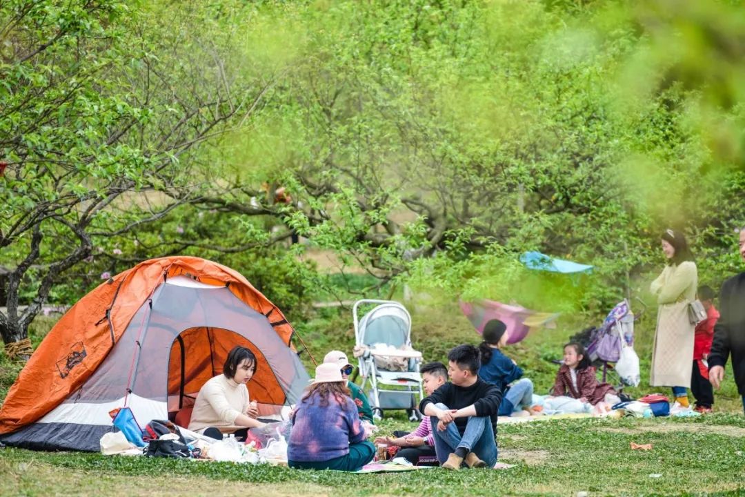 成都市秀丽东方,成都秀丽东方还在开放吗