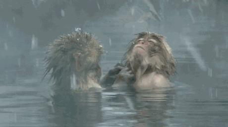 广东五星级十大温泉排名榜,广东57家真温泉名单