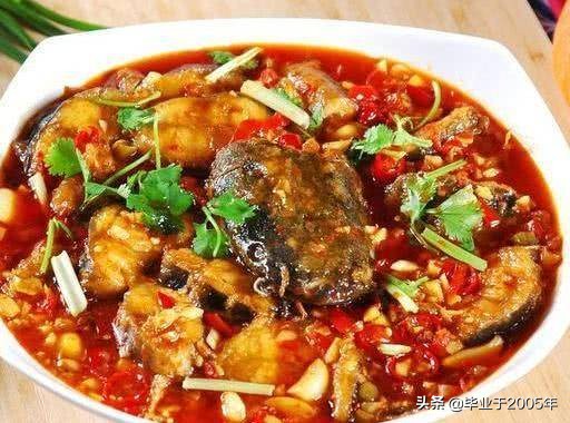 大连旅顺野钓淡水鱼的地方,大连近海常见鱼类图鉴