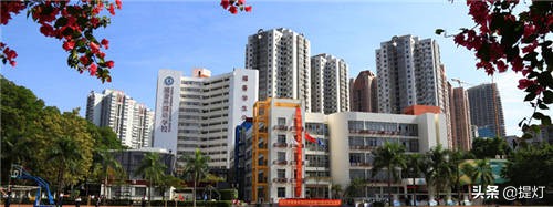 石岩公学深圳排名,深圳石岩公学