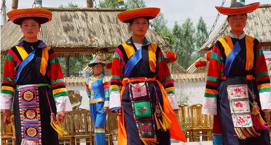 中国56个民族知识大全书籍,关于中国56个民族的知识