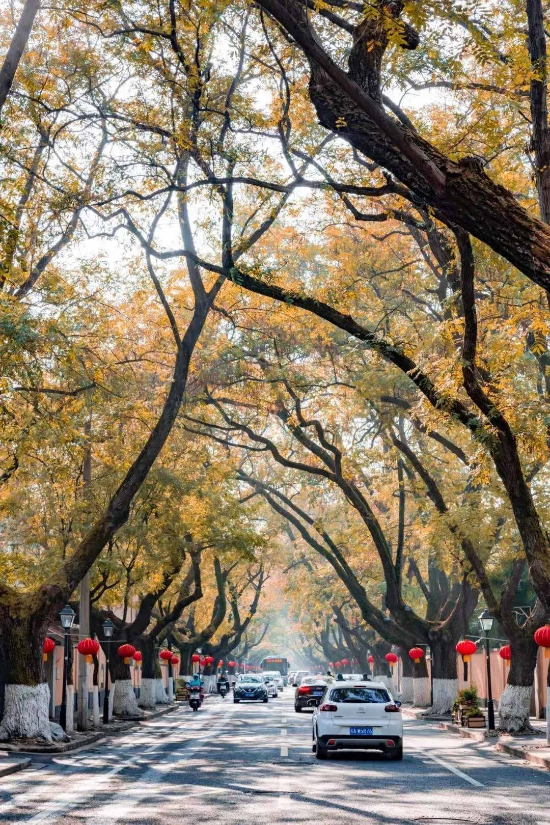 南京值得去生活吗,在南京生活15年的感受