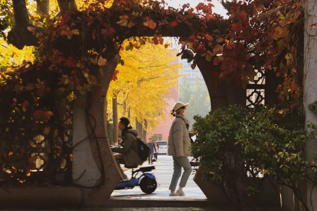 醉美大工秋|读书不觉已秋深，____________