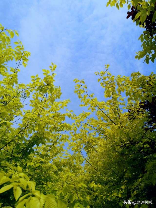 济南森林体育公园,济南市黄河健身休闲公园