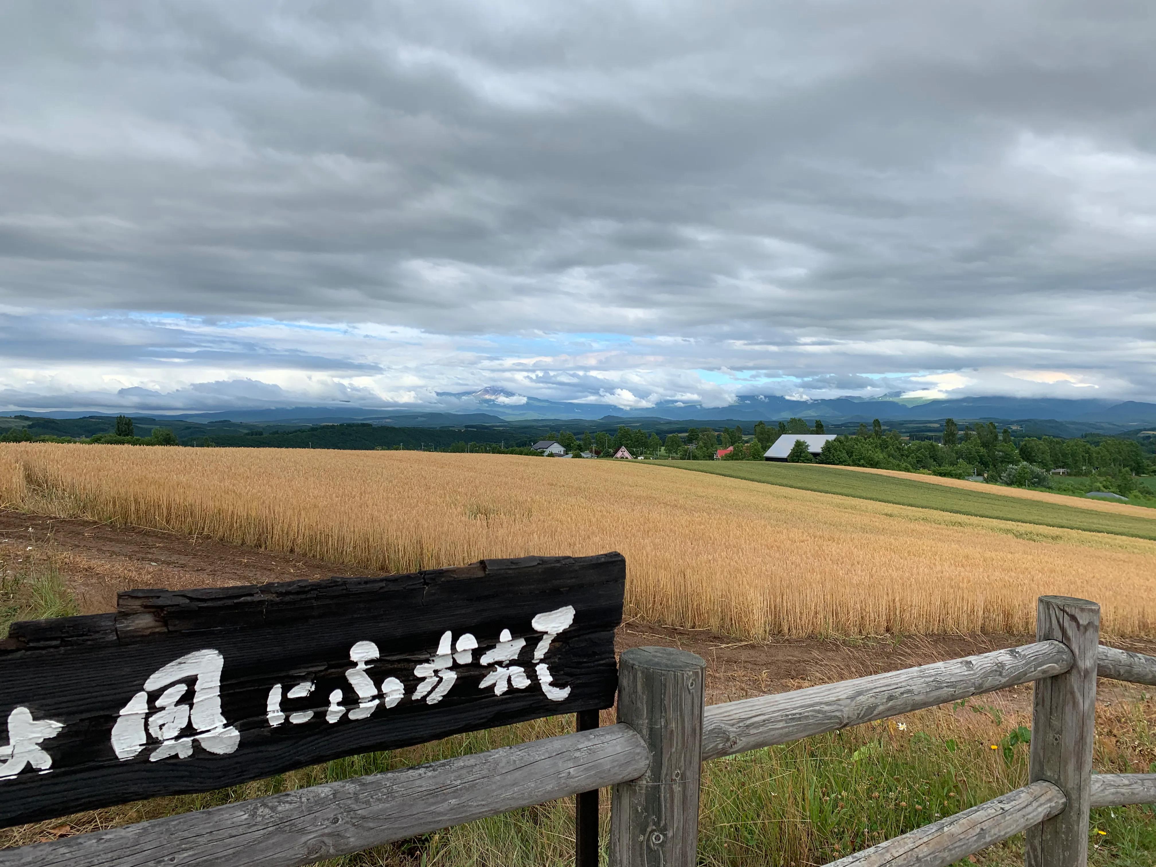 聊聊电影解说,聊聊app