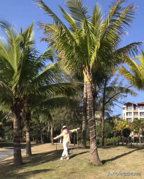 万宁神州半岛去哪租,去万宁神州半岛住哪里