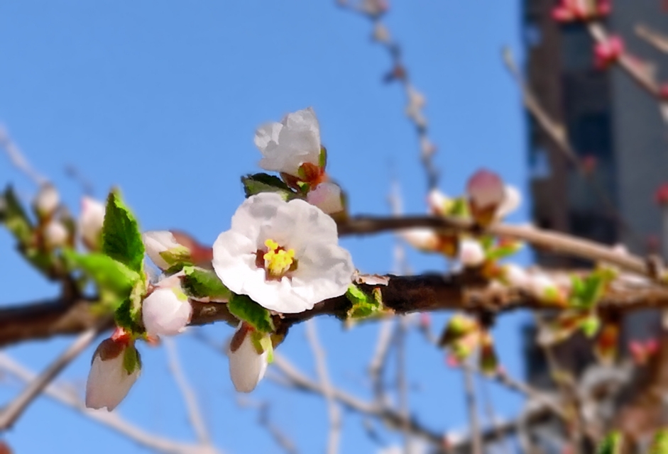 璇楃ぞ閲囬娲诲姩,浼楀垱璇楃ぞ涓冨緥