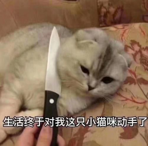 过年如何应对家里的三姑六婆,春节应该怎么应对三姑六婆