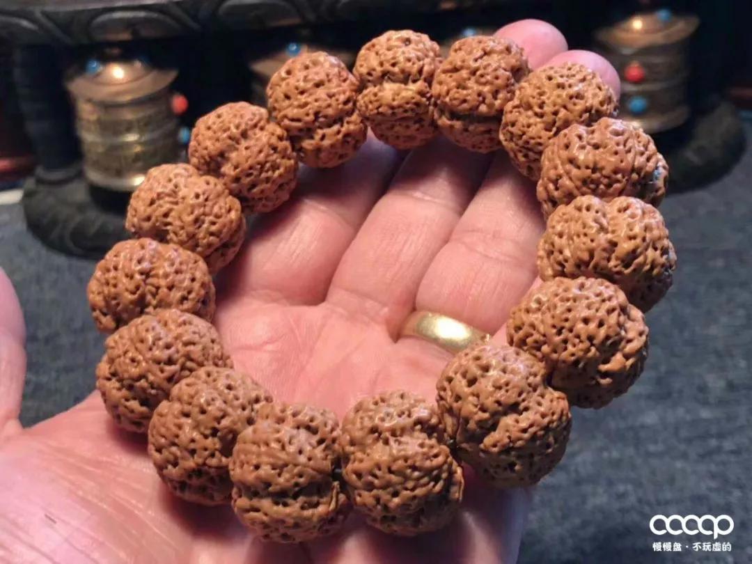 上万一条的药王籽火了后，很多尼泊尔树农大量从中国进药