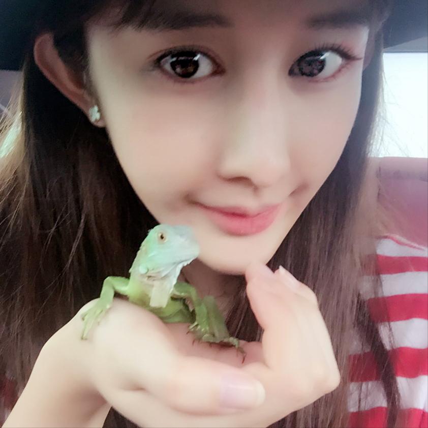 转型网红直播的10个女明星,4位网红转型成明星后现状