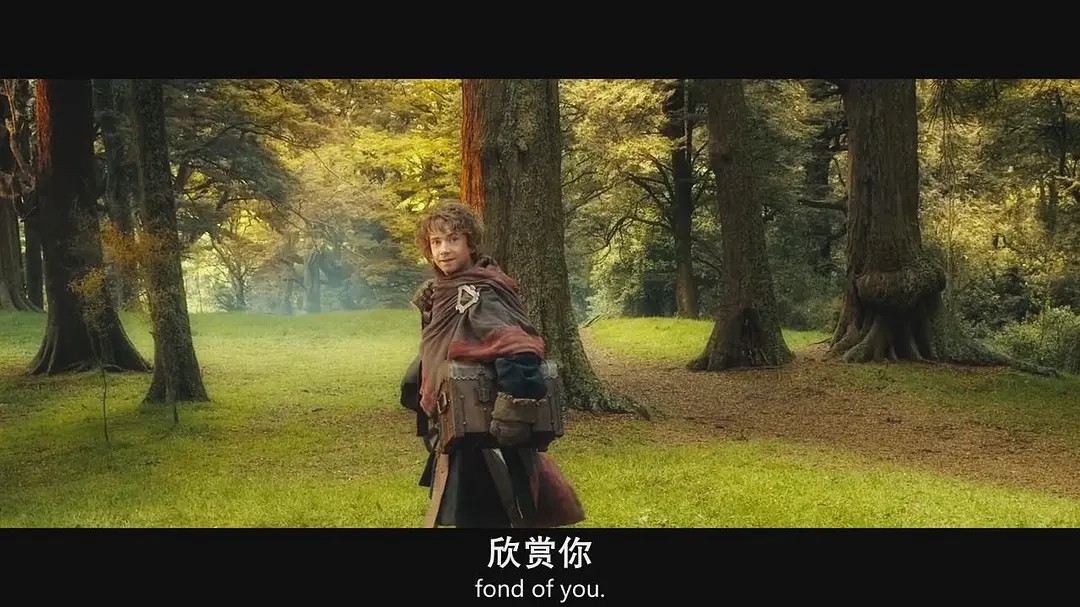 指环王中土历史,如何让指环王的中土变成真实的