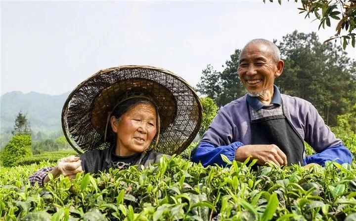 革命老区遵义贫困县全部出列