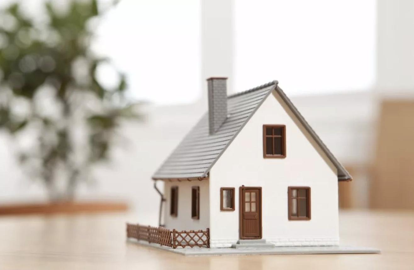 催生无用后专家提新建议,催生无果的后果