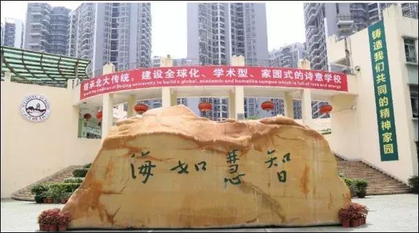 深圳口碑最差的十所小学,深圳的民办小学排名