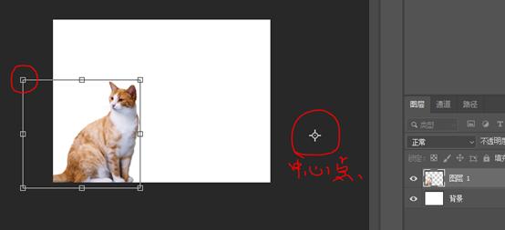 你不知道的ps文字小技巧,你不知道的cad技巧来了