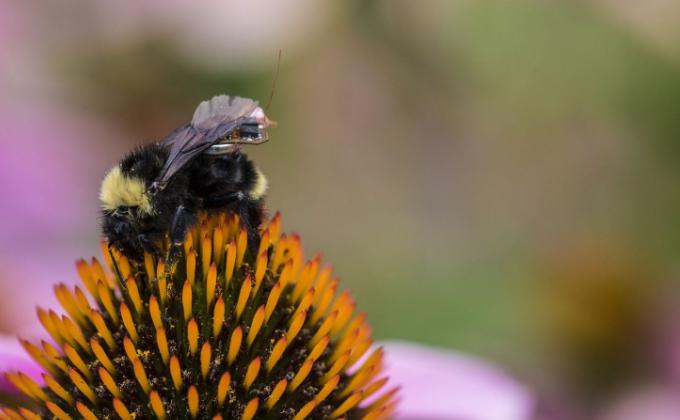 科学家把人改造成机器人,科学家把自己改造成机器人