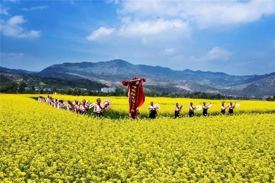 武山县油菜花旅游打卡地,天水武山滩歌油菜花海掠影