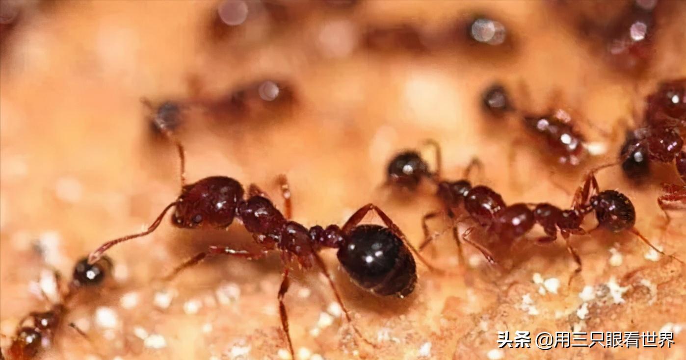 知青难忘的岁月,知青难忘的回忆故事