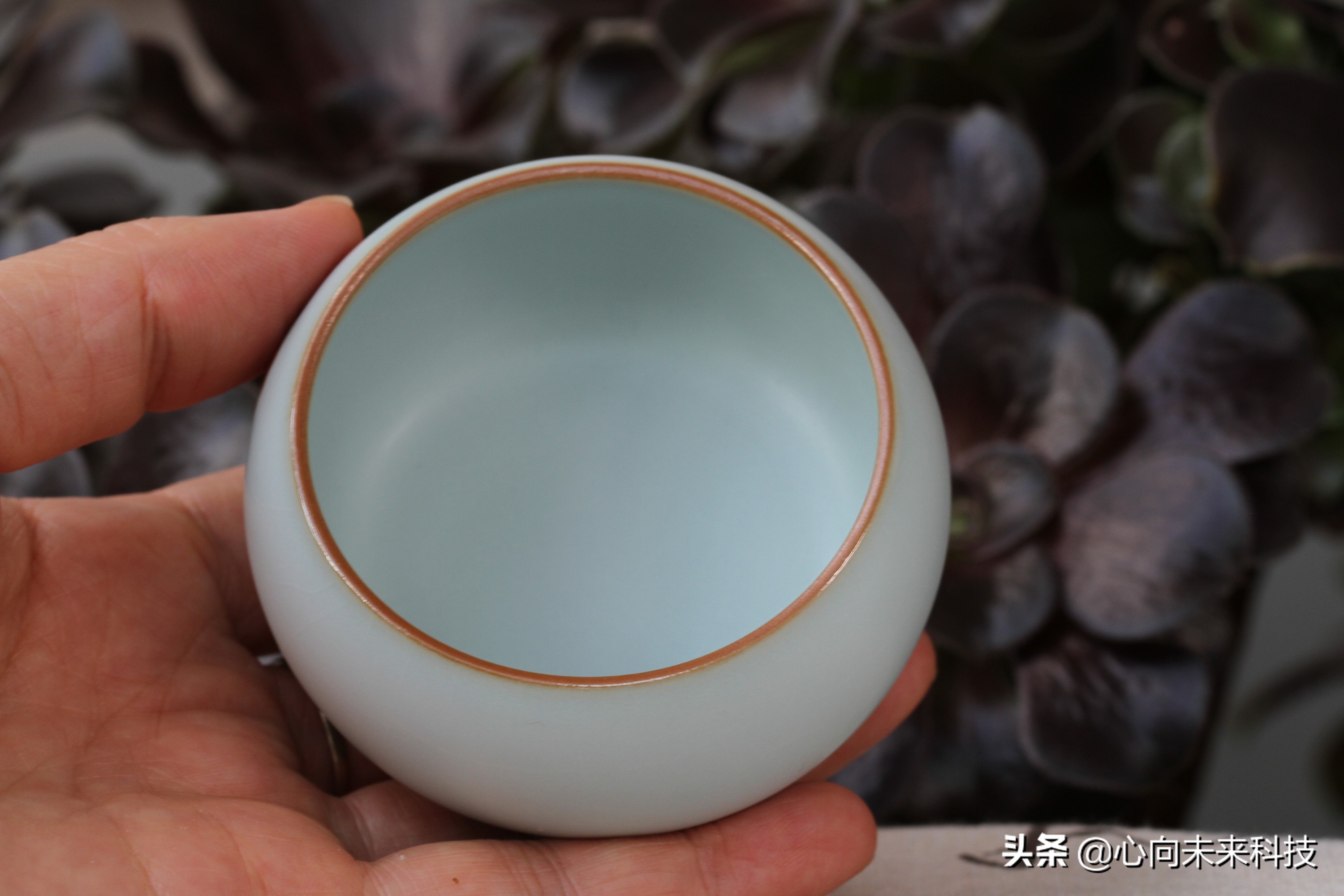 汝瓷新手入坑,汝瓷个人喝茶最实用的茶具