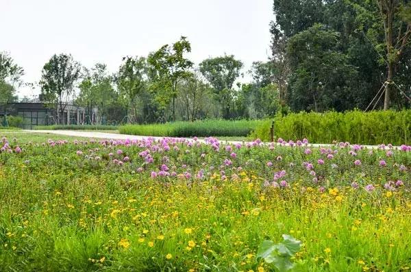 北京好消息来了,北京市的好消息