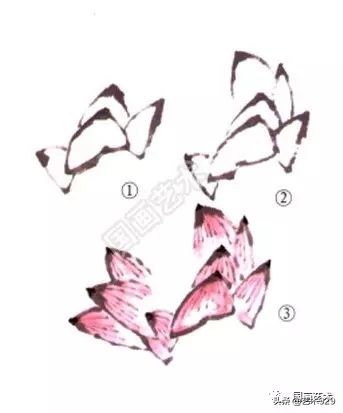 荷花的画法和步骤图解,最简单的荷花画法一学就会