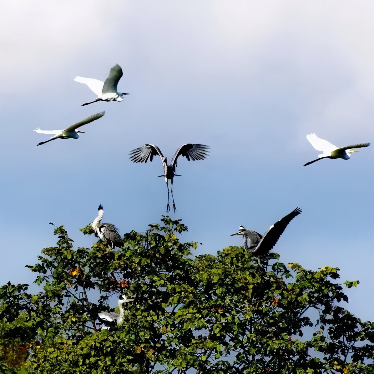 五一旅游如何去长白山,白山市4天旅游攻略