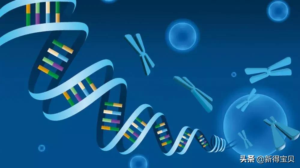 脐带扭转胎停会影响下次怀孕吗,怀孕八周突然胎停了下次还能怀吗